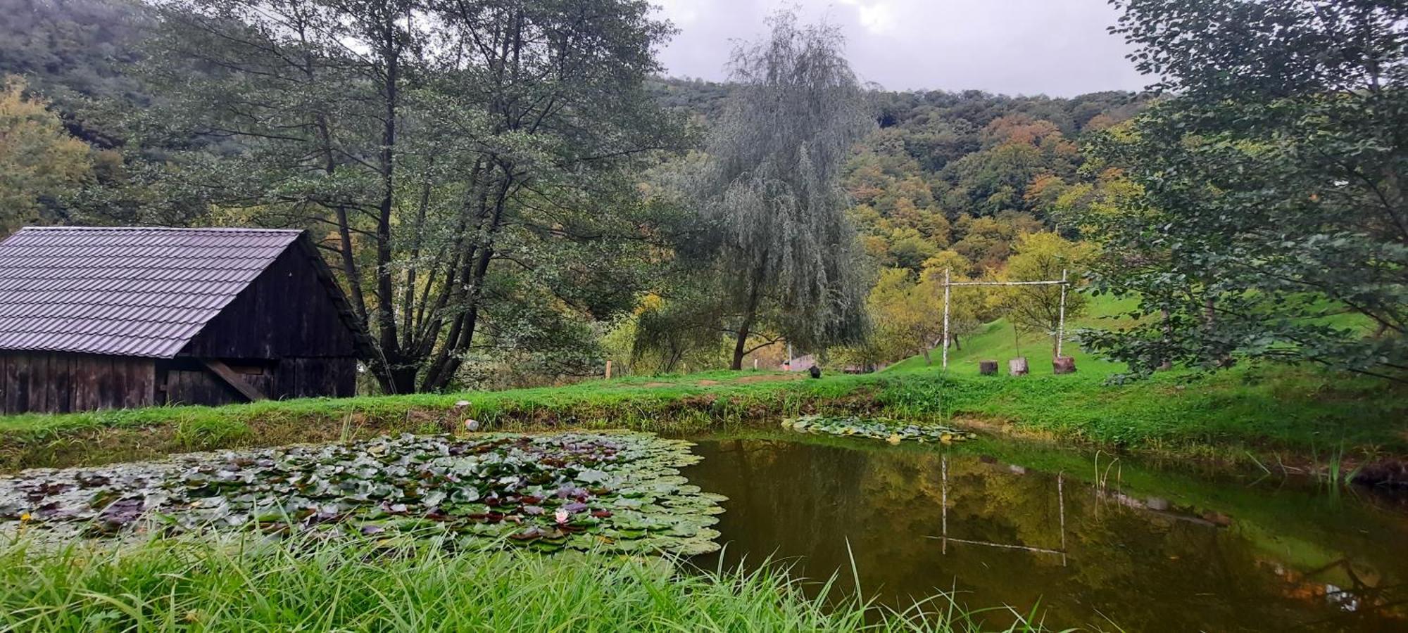 Pensiunea Lupul Dacic Costesti  Bagian luar foto