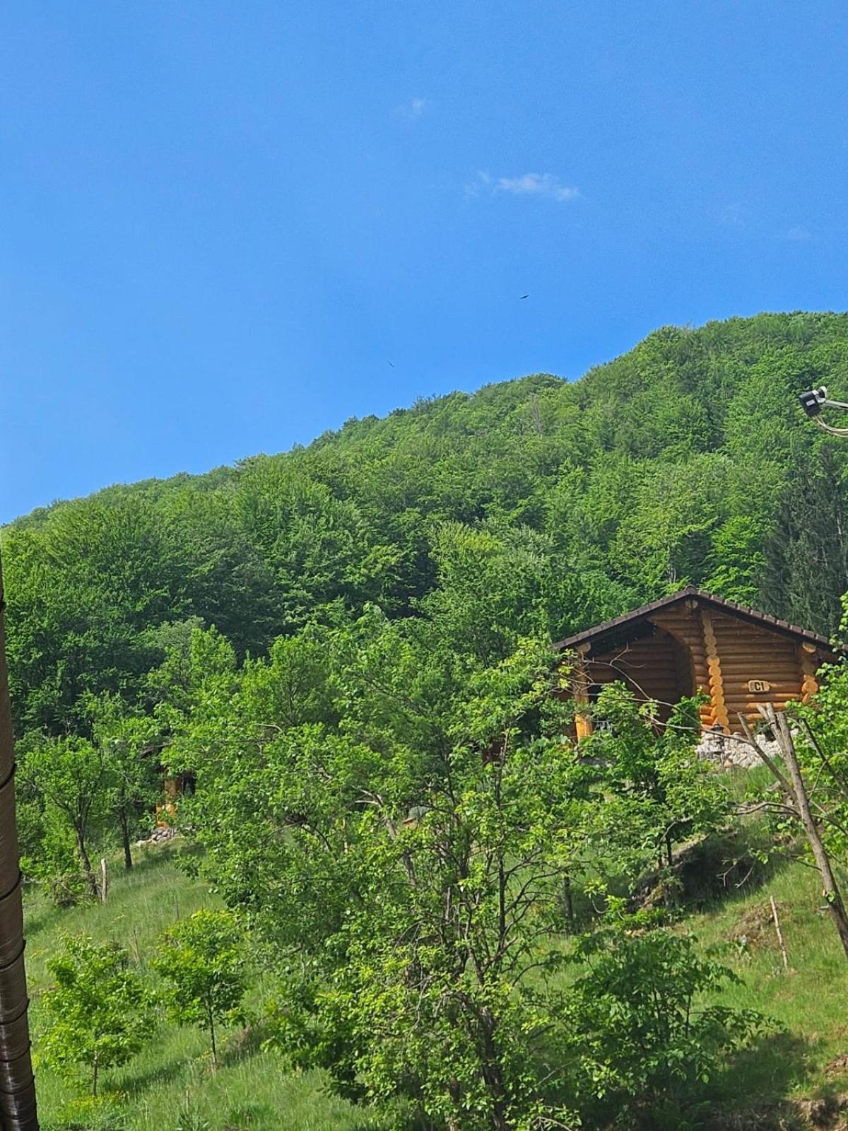 Pensiunea Lupul Dacic Costesti  Bagian luar foto