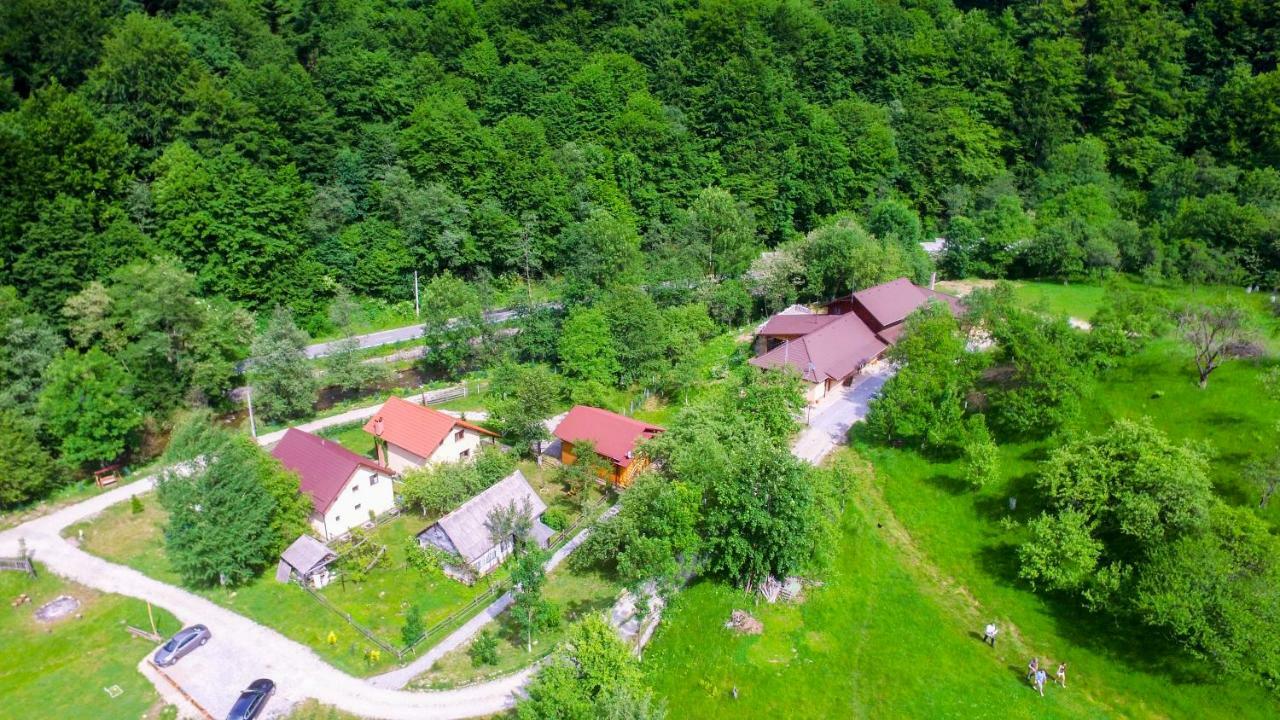 Pensiunea Lupul Dacic Costesti  Bagian luar foto