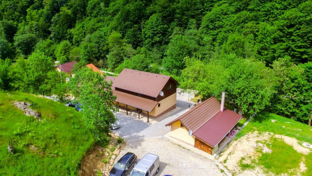 Pensiunea Lupul Dacic Costesti  Bagian luar foto