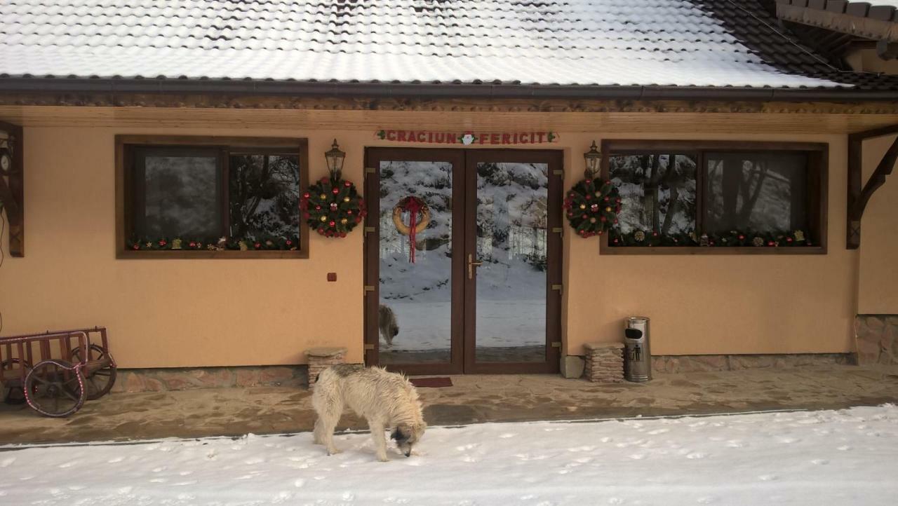 Pensiunea Lupul Dacic Costesti  Bagian luar foto