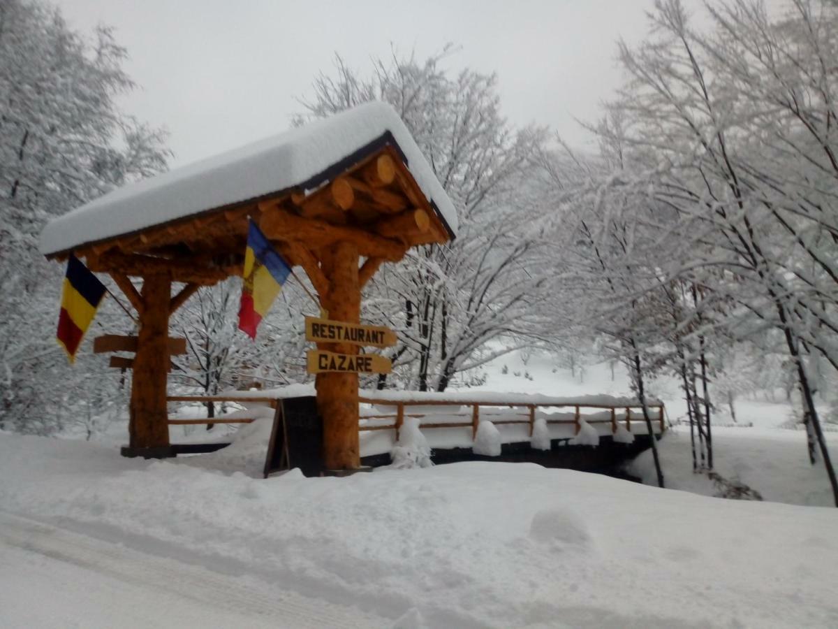 Pensiunea Lupul Dacic Costesti  Bagian luar foto